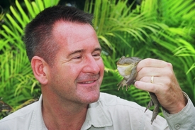 Žába nazvaná "Budgett’s frog", jejíž tělo připomíná želé.