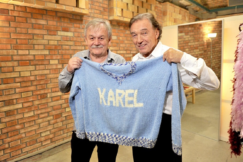 V prvním dílu cyklu Škoda lásky hraje Karel Gott s Karlem Šípem. V prvním dílu cyklu Škoda lásky hraje Karel Gott s Karlem Šípem.