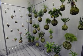 Zahrada na niti. Z nabídky Designsupermarketu.