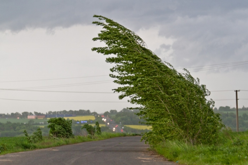 Silný vítr, před nímž varují meteorologové, bude v Česku kulminovat ve čtvrtek kolem půlnoci a pak v pátek (ilustrační foto). Silný vítr, před nímž varují meteorologové, bude v Česku kulminovat ve čtvrtek kolem půlnoci a pak v pátek (ilustrační foto).