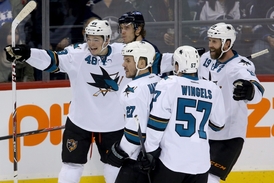 Tomáš Hertl (vlevo) si připsal 14. gól v NHL.