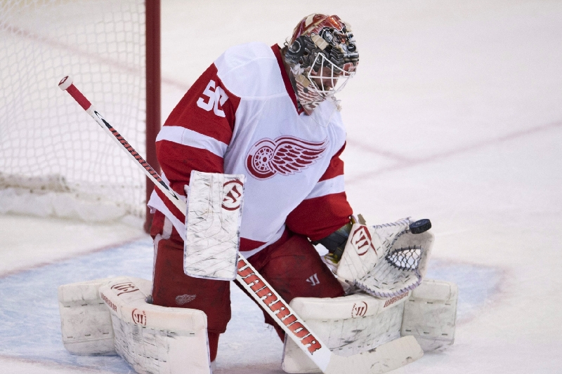 Švédský brankář Jonas Gustavsson.