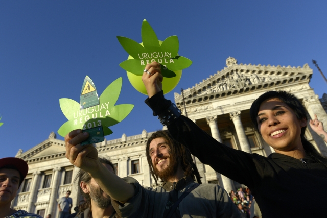 Uruguay se stala definitivně první zemí světa, která legalizovala pěstování, prodej i užívání marihuany. Uruguay se stala definitivně první zemí světa, která legalizovala pěstování, prodej i užívání marihuany.