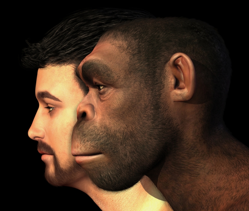 Příznivci kreacionismu věří, že evoluce je dílem Boha (ilustrační foto). Příznivci kreacionismu věří, že evoluce je dílem Boha (ilustrační foto).