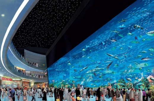 Dubai Mall. Dubai Mall.
