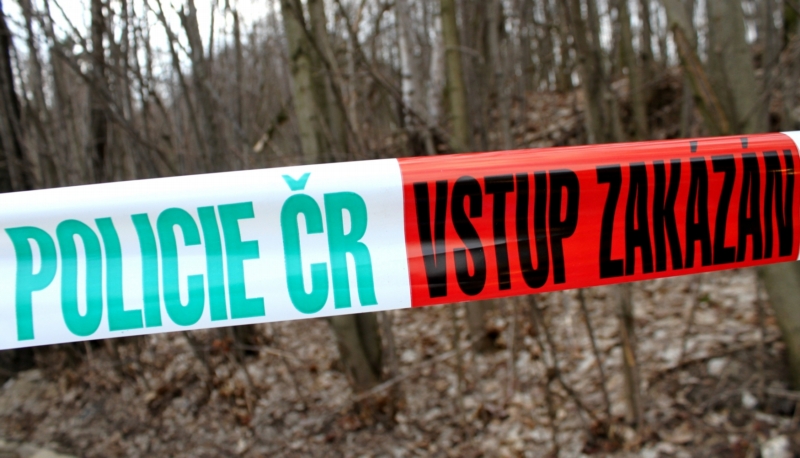 Policie vyšetřuje úmrtí dvou mužů a pěti zvířat (ilustrační foto).