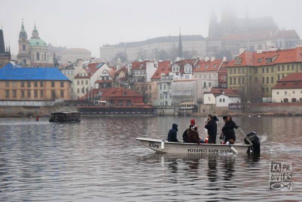 Tým potápěčů zkoumal dno Vltavy v okolí Karlova mostu. Tým potápěčů zkoumal dno Vltavy v okolí Karlova mostu.