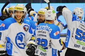 Hokejisté Plzně porazili ve 44. extraligovém kole Litvínov.