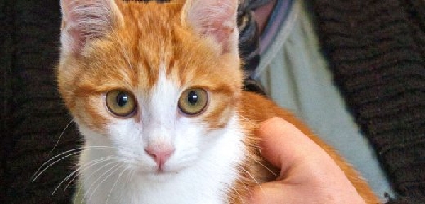 Nebožátko Oskárek.