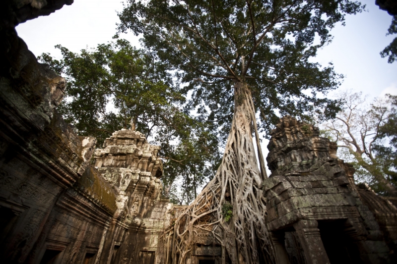 Prastarý buddhistický chrám Angkor Vat v Kambodži (ilustrační foto).