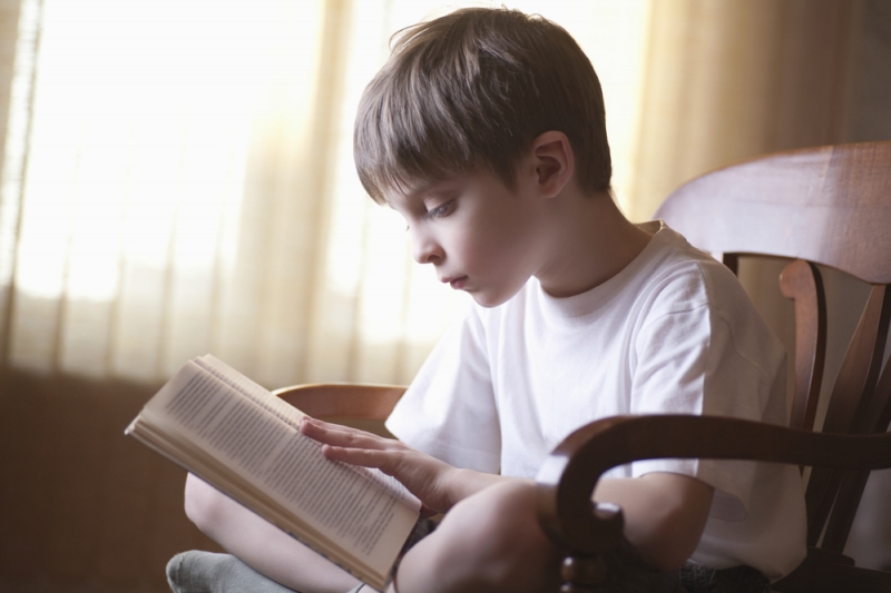 40 procent žáků přečte všechny knížky ze seznamu povinné literatury (ilustrační foto). 40 procent žáků přečte všechny knížky ze seznamu povinné literatury (ilustrační foto).