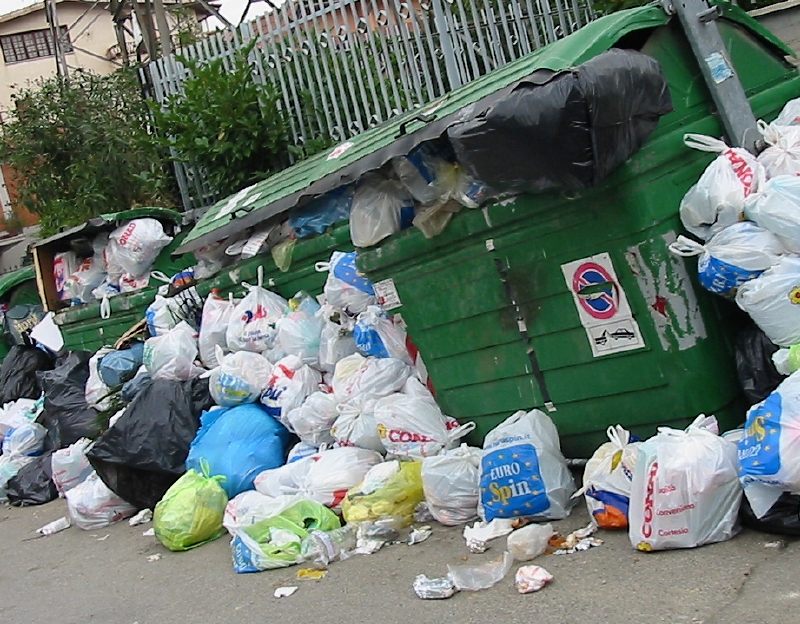Kusy výstavy skončily v popelnici (ilustrační foto).