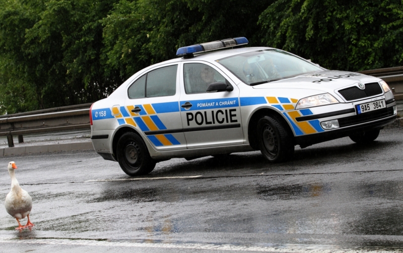 Podle policie žena s největší pravděpodobností nezemřela násilnou smrtí (násilnou smrtí).
