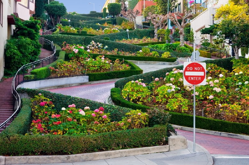 Lombard Street, San Francisco, Kalifronie. (Foto: Shutterstock.com)