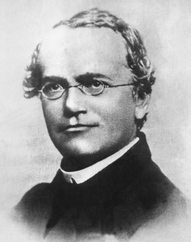 Johann Gregor Mendel. Johann Gregor Mendel.