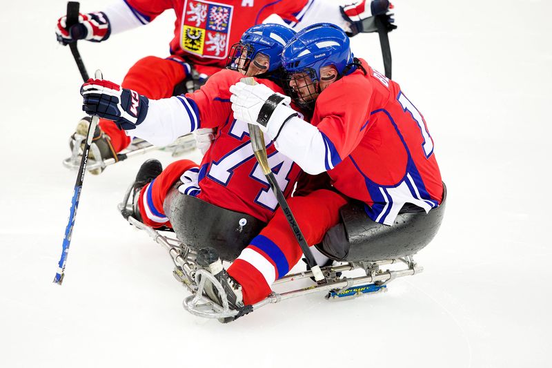 Čeští sledge hokejisté.