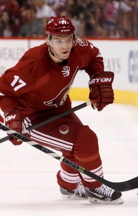Radim Vrbata vstřelil 19. gól v letošním ročníku NHL.
