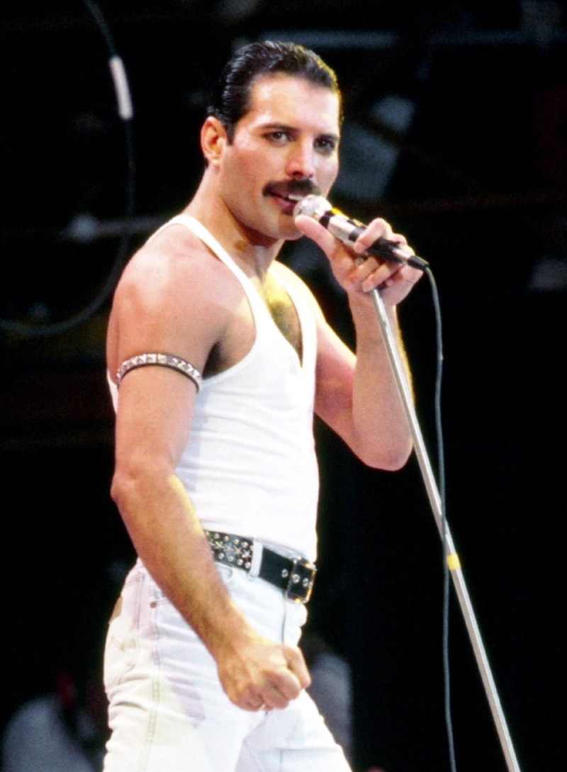 Freddie Mercury. Freddie Mercury.