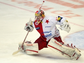 Gólman Slavie Dominik Furch.