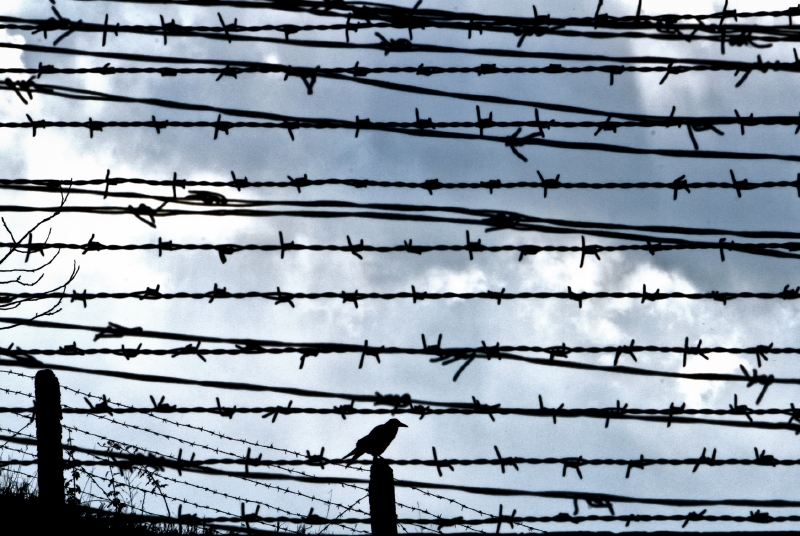 Gulag byla původně zkratka Hlavní správy táborů, než se vžila jako synonymum pro utajenou říši tisíců táborů nucených prací. Gulag byla původně zkratka Hlavní správy táborů, než se vžila jako synonymum pro utajenou říši tisíců táborů nucených prací.