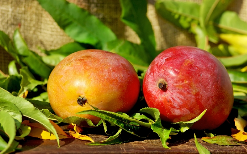 Taijo no Tamago musí mít alespoň 350 gramů a vysoký obsah cukru (ilustrační foto). Taijo no Tamago musí mít alespoň 350 gramů a vysoký obsah cukru (ilustrační foto).