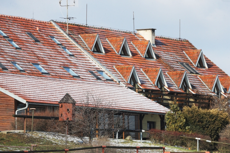 Farma Bolka Polívky v Olšanech na Vyškovsku opět ožije.