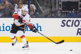 Jiří Hudler patřil letos mezi nejproduktivnější české útočníky v NHL.