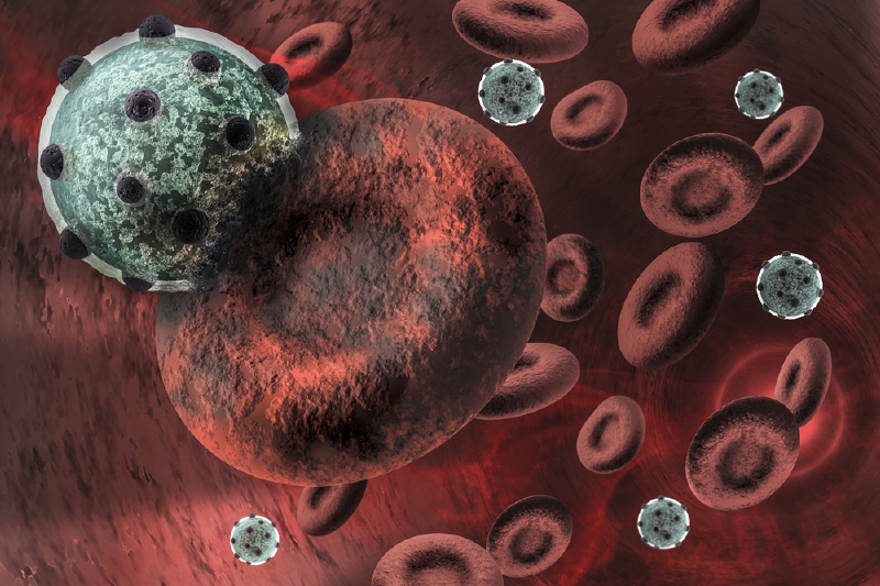 Vir HIV napadá lymfocyty v krvi a ve střevě (ilustrační foto).