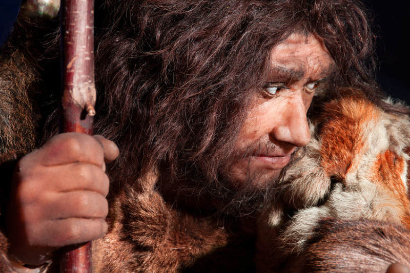 Neandertálci nejspíš nebyli hloupější než vy.