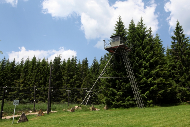 Bučina v Národním parku Šumava. Bučina v Národním parku Šumava.