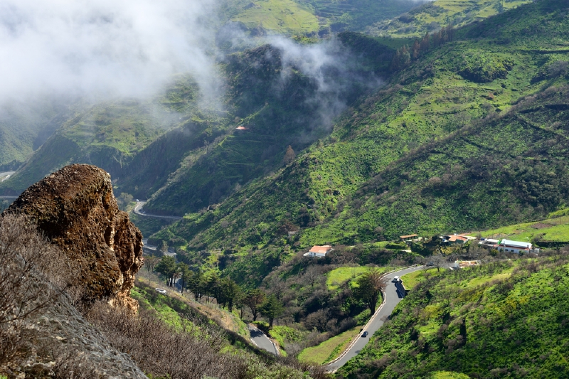 Zelený ostrov Gran Canaria je ohrožen korálovkami (ilustrační foto). Zelený ostrov Gran Canaria je ohrožen korálovkami (ilustrační foto).