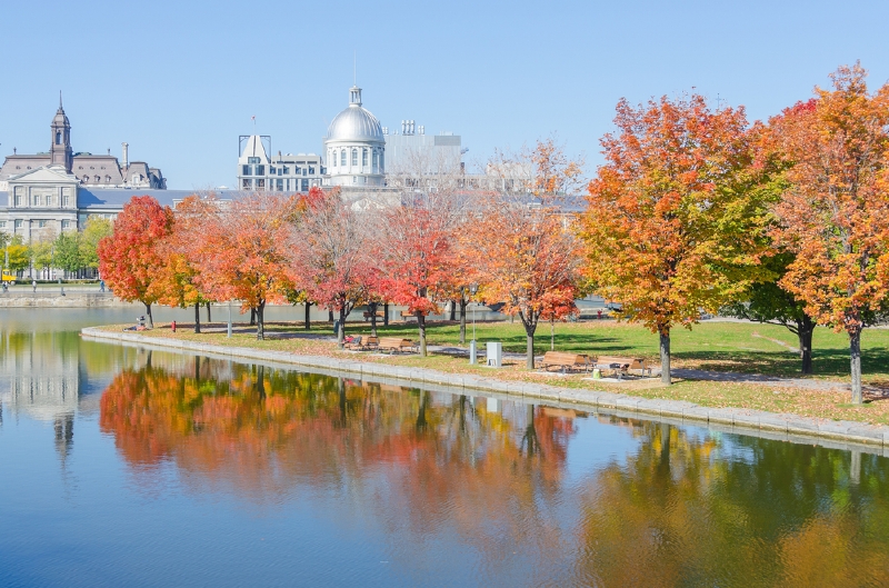 Montreal, Kanada. (Foto: Shutterstock.com/Elzbieta Sekowska)