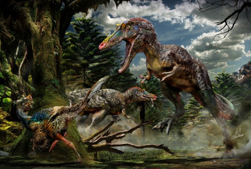 Qianzhousaurus sinensis -- nový tyranosaurus s úzkými čelistmi.
