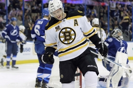 Když vypadne v play-off Boston, národní tým by mohl posílit David Krejčí.