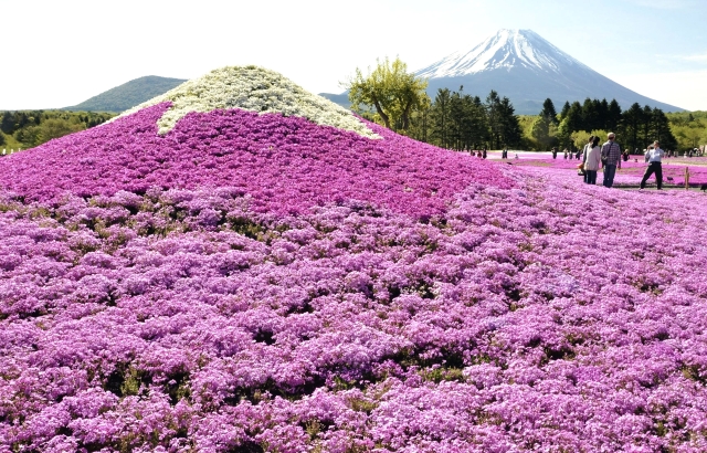 Japonci oslavují rok od zařazeni jejich nejvyšší hory Fudži na seznam světového dědictví UNESCO.