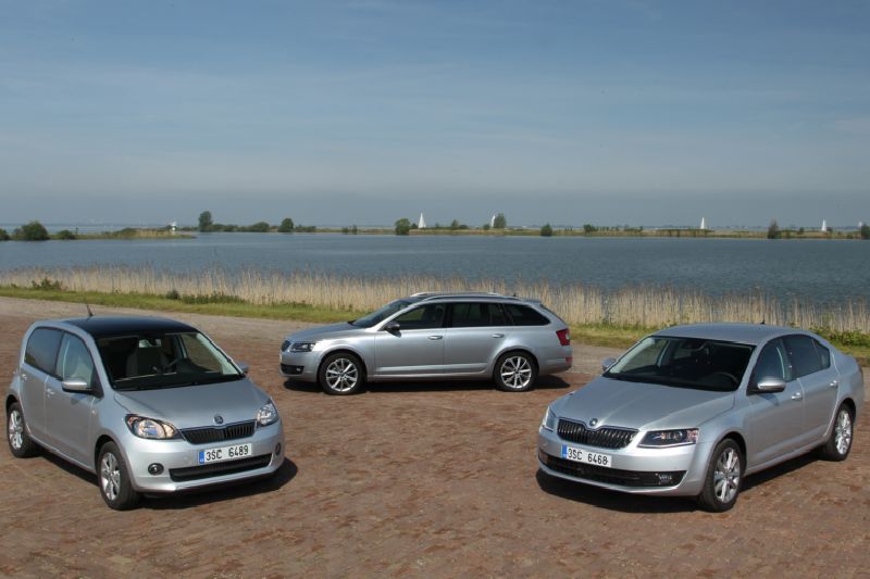 Tři modely s pohonem na plyn vyrábí Škodovka. Po modelu Citigo je to Octavia a Octavia Combi.