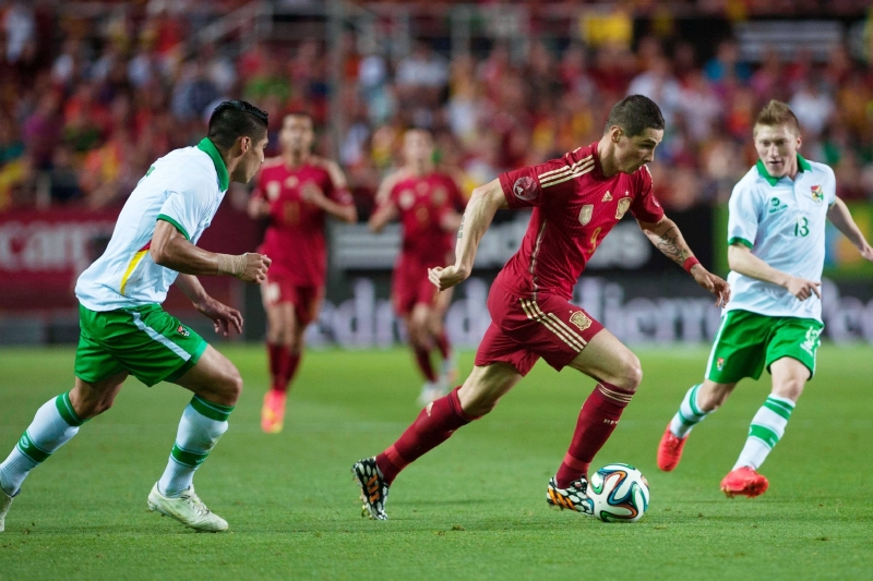 Španělský reprezentant Fernando Torres.