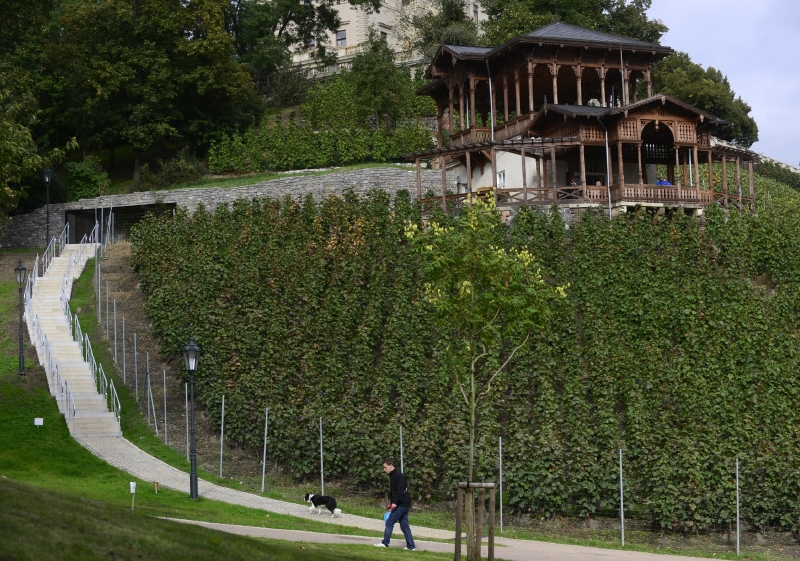 Park Grébovka. Park Grébovka.