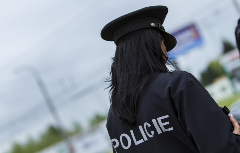 Dvě strážnice Obecní policie Zdiby byly v pátek napadeny dcerou a jejím otcem (ilustrační foto). Dvě strážnice Obecní policie Zdiby byly v pátek napadeny dcerou a jejím otcem (ilustrační foto).