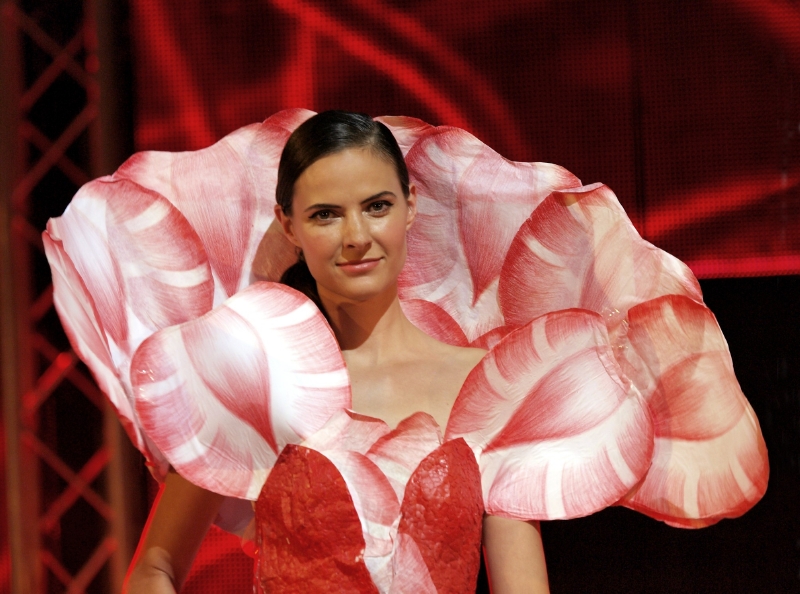 Model Zuzany Neničkové (facebooková cena za rok 2013).