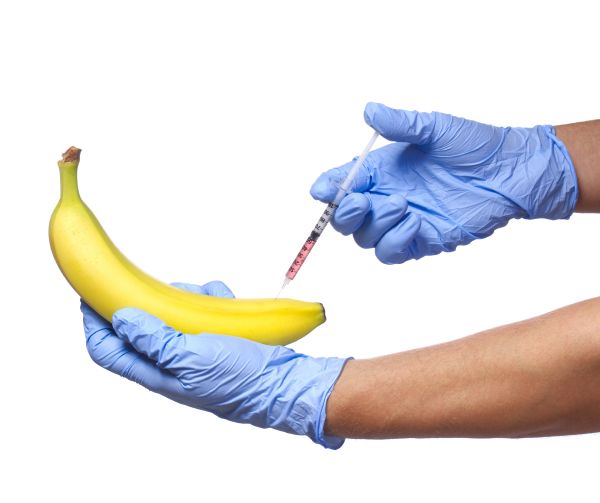 Můžou upravené banány pomoci lidem v rozvojových zemích, kterým chybí důležitý vitamín?