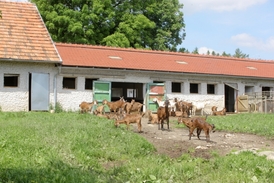 Farma Krasolesí.