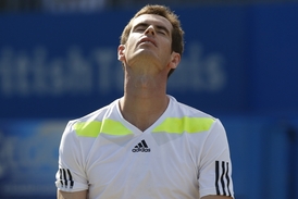 Andy Murray bude v All England Clubu obhajovat titul.