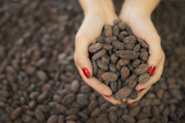 Zdražení kakaa pociťují i čeští spotřebitelé. Například Nestlé Česko v posledních dvou letech zvýšilo ceny čokoládových výrobků o deset procent (ilustrační foto).