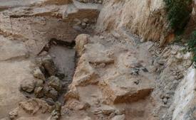 Zkamenělý exkrement odhaluje tajemství střev neandertálce.