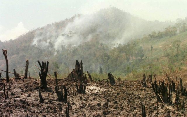 El Niño může v důsledku způsobit i požáry. Na snímku filipínský ostrov Palawan.