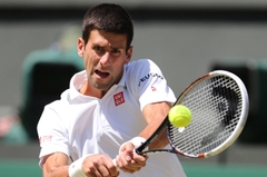 Bývalá světová jednička Novak Djokovič je po roce opět ve finále slavného Wimbledonu.