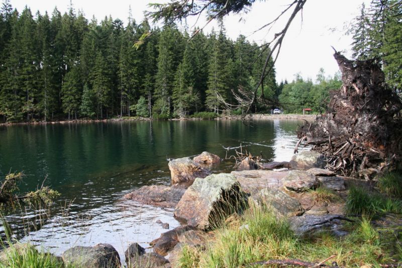 Černé  jezero na Šumavě.