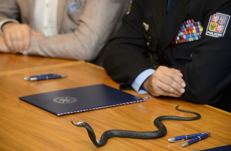 Ministr vnitra Milan Chovanec předal policejnímu prezidentovi Tomáši Tuhému na setkání 13. června symbolickou kobru při příležitosti zahájení činnosti útvaru. Ministr vnitra Milan Chovanec předal policejnímu prezidentovi Tomáši Tuhému na setkání 13. června symbolickou kobru při příležitosti zahájení činnosti útvaru.