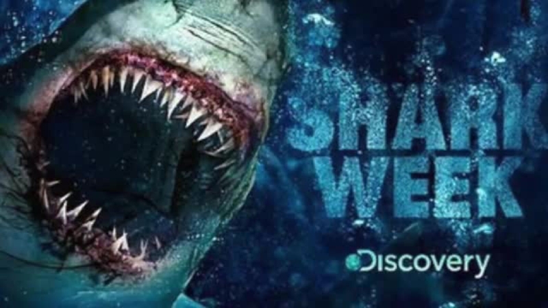 "Týden žraloků" na Discovery Channel a Animal Planet. 